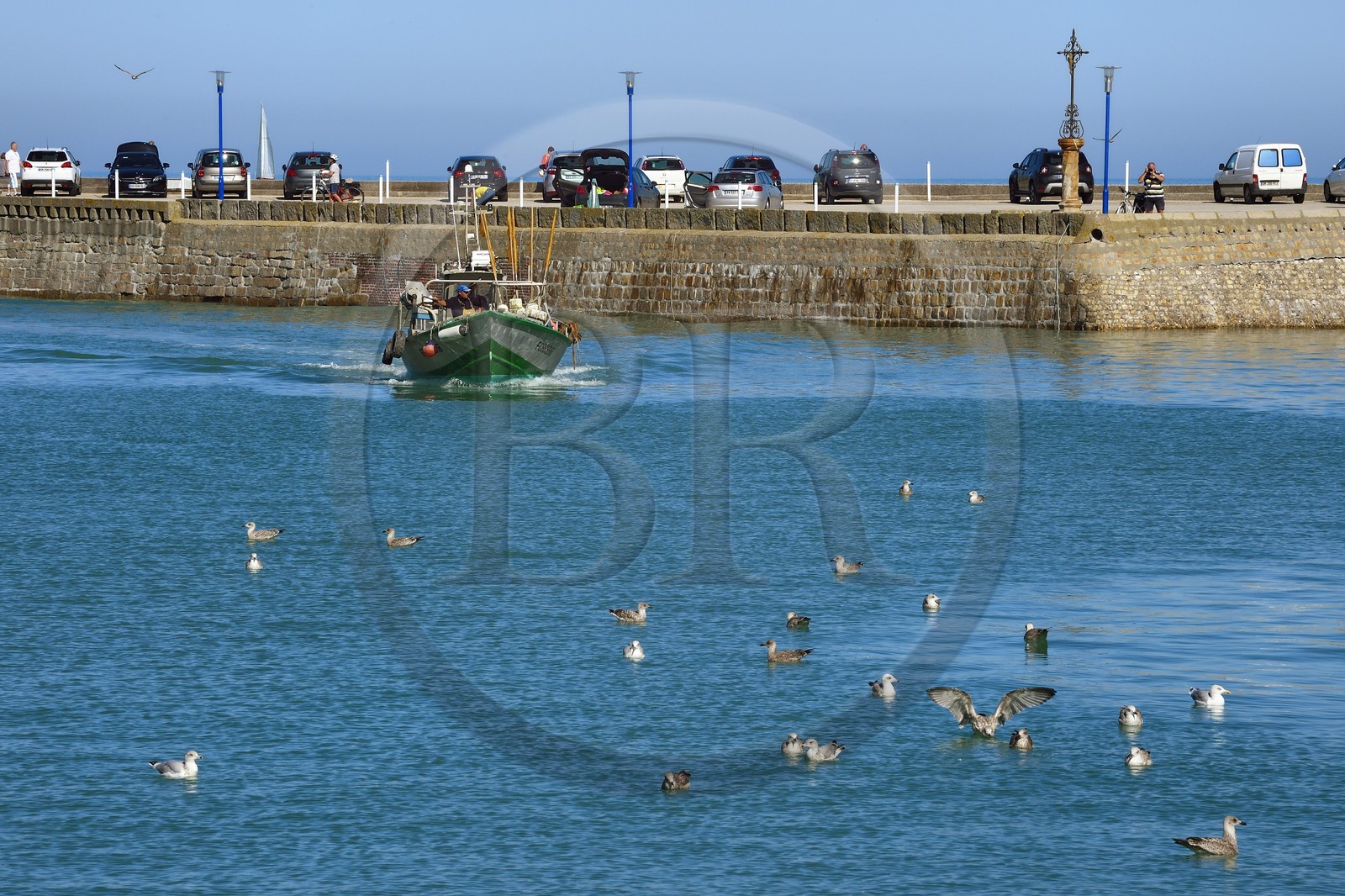 France, Seine-Maritime, Cote d'Albatre (Alabaster Coast), Pays de Caux, Saint Valery en Caux, fishing boat entering the harbor