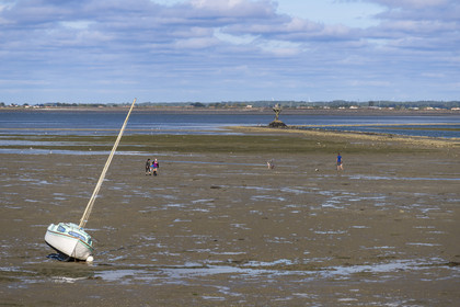France, Vendée (85), île de Noirmoutier, Barbatre, pêche à pied sur l'estran en bordure du passage du Gois, chaussée submersible qui relie l'île au continent à marrée basse