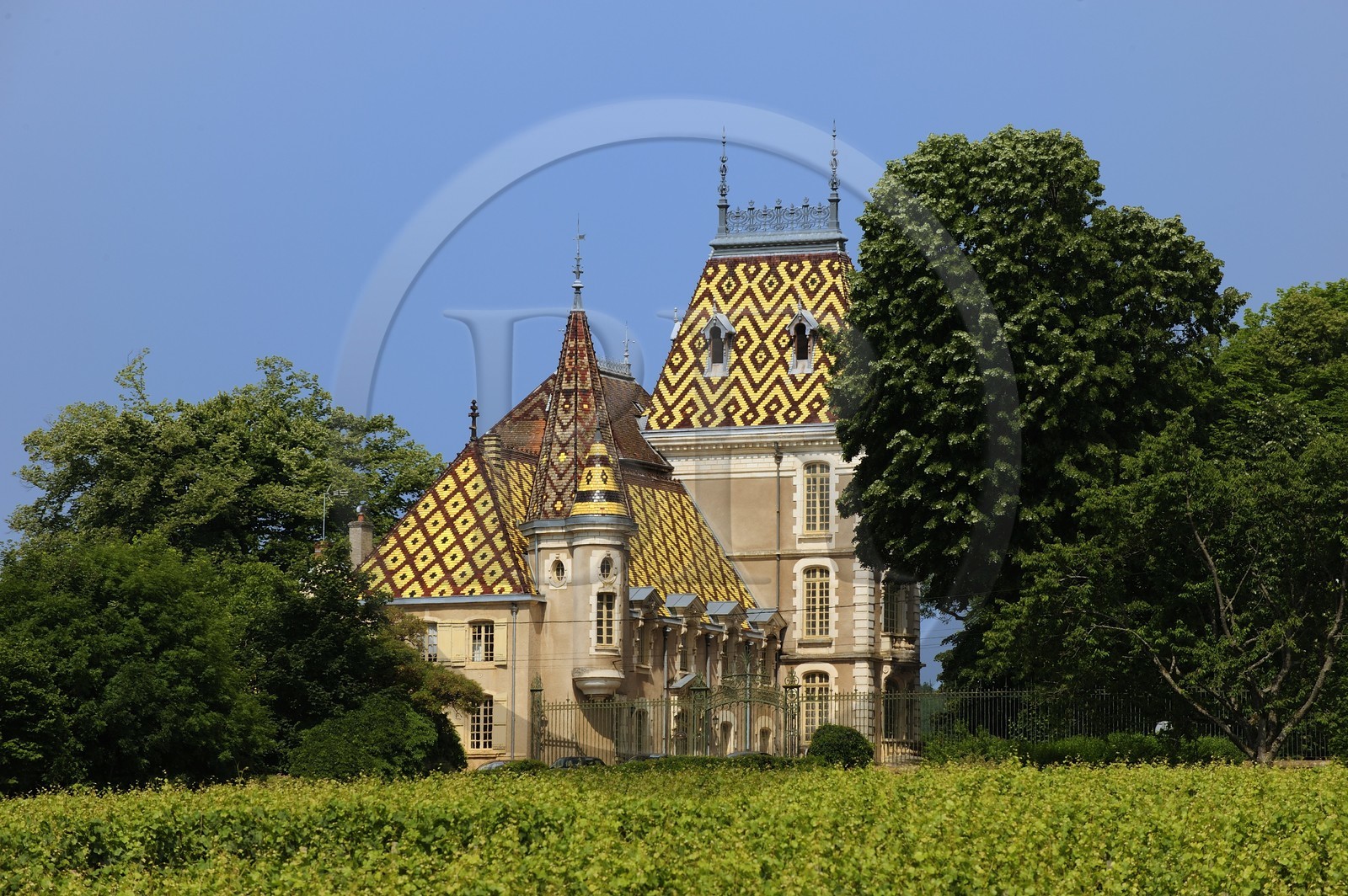 France, Côte d'Or (21), Aloxe-Corton, le Château Corton-André