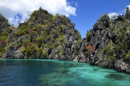 Philippines, Calamian Islands dans le nord de Palawan, Coron Island Natural Biotic Area, lagon et falaises de calcaire du Permien d'origine jurassique