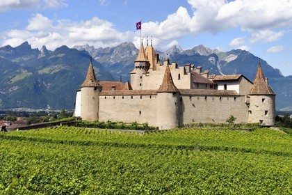 Suisse, Canton de Vaud, Aigle, le chateau entouré par le vignobles, il abrite le musée de la Vigne et du Vin