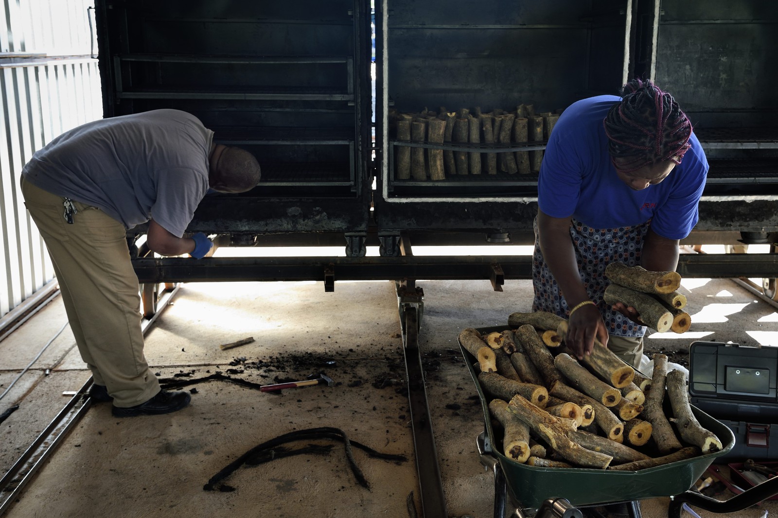 Namibie, Otjiwarongo, Cheetah Conservation Fund, centre de recherche et d'éducation, CCF BUSH Pty Ltd fabrique des briquettes de bois comme projet pilote pour explorer une stratégie visant à améliorer l'habitat du guépard par l'enlèvement des épais buissons qui prolifèrent dans le bush, Bushblock