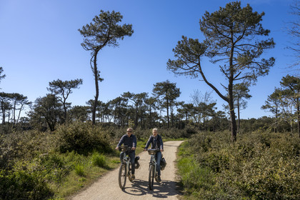 France, Vendée (85), Les-Sables-d'Olonne, cycliste sur la piste de la véloroute Vendée Vélo Tour et Vélodyssée dans la forêt d'Olonne au nord de la ville