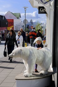 Iceland, Reykjavik's main shopping street, Laugavegur, polar bear teddy