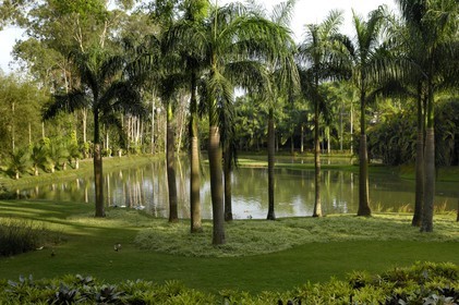 Brésil, Etat du Minas Gerais, région de Belo Horizonte, Brumadinho, le lac du centre d'art contemporain Inhotim