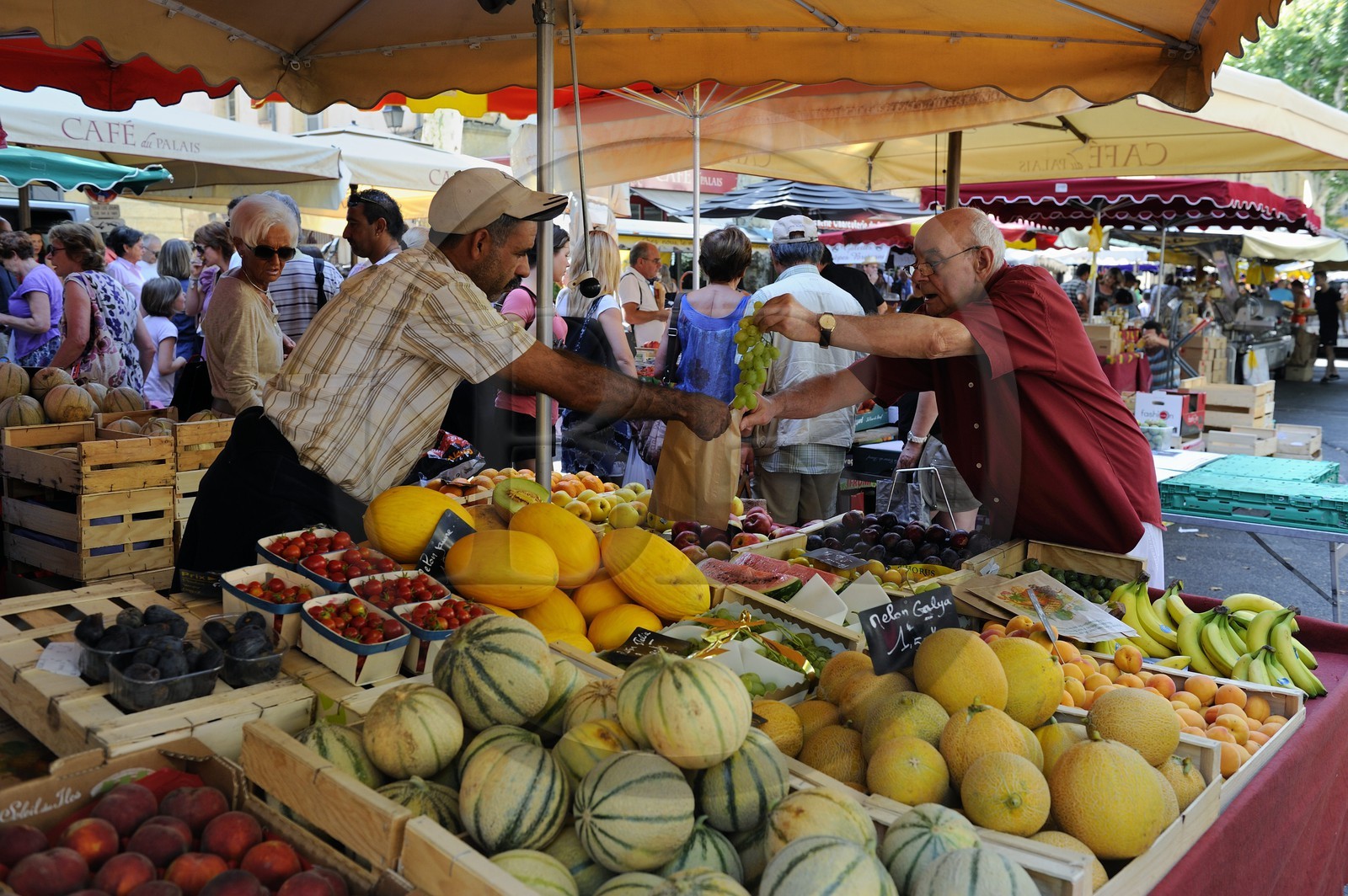 France, Bouches-du-Rhône (13), Aix-en-Provence, marché place de l'Hôtel de ville, étal de fruits et légumes