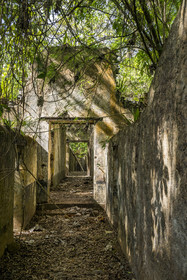 France, French Guiana, Kourou, Salvation Islands (Iles du Salut), Saint Joseph Island, ruin of the penal colony dedicated to the seclusion of the most difficult prisoners