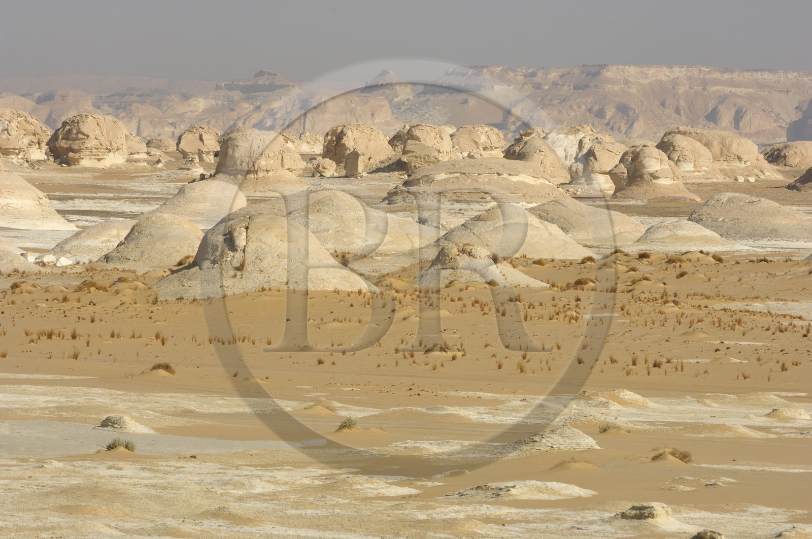 Egypte, désert libyque, le Désert Blanc au nord de Farafra