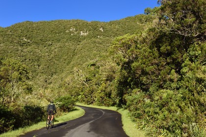 France, Ile de la Reunion, Saint Benoit, Parc national de La Reunion, classé Patrimoine Mondial de l'UNESCO, foret de Bébour