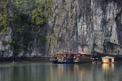 Vietnam, Quang Ninh Province, Halong Bay, listed as World Heritage by UNESCO, at Bo Hon island