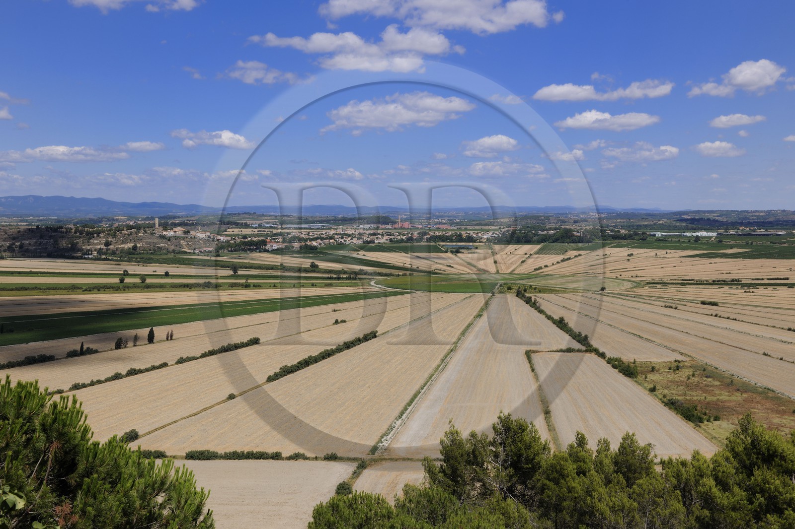 France, Hérault (34), l'ancien étang de Montady asséché depuis 1247