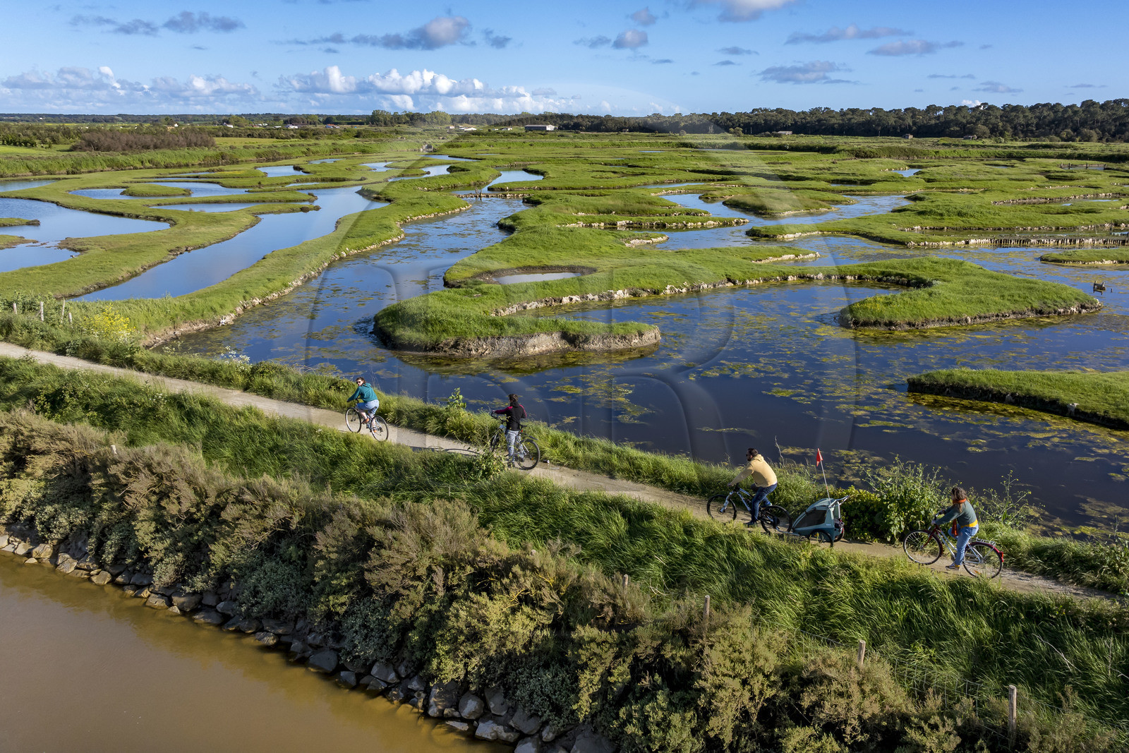 France, Vendée (85), Talmont-Saint-Hilaire, marais de la Guittière dans l'arrière pays de la Pointe du Payré, cycliste sur la piste de la véloroute Vendée Vélo Tour et Vélodyssée au passage du Cul d’Ane, marais aménagés pour la pisciculture de dorades, mulets et anguilles (vue aérienne)