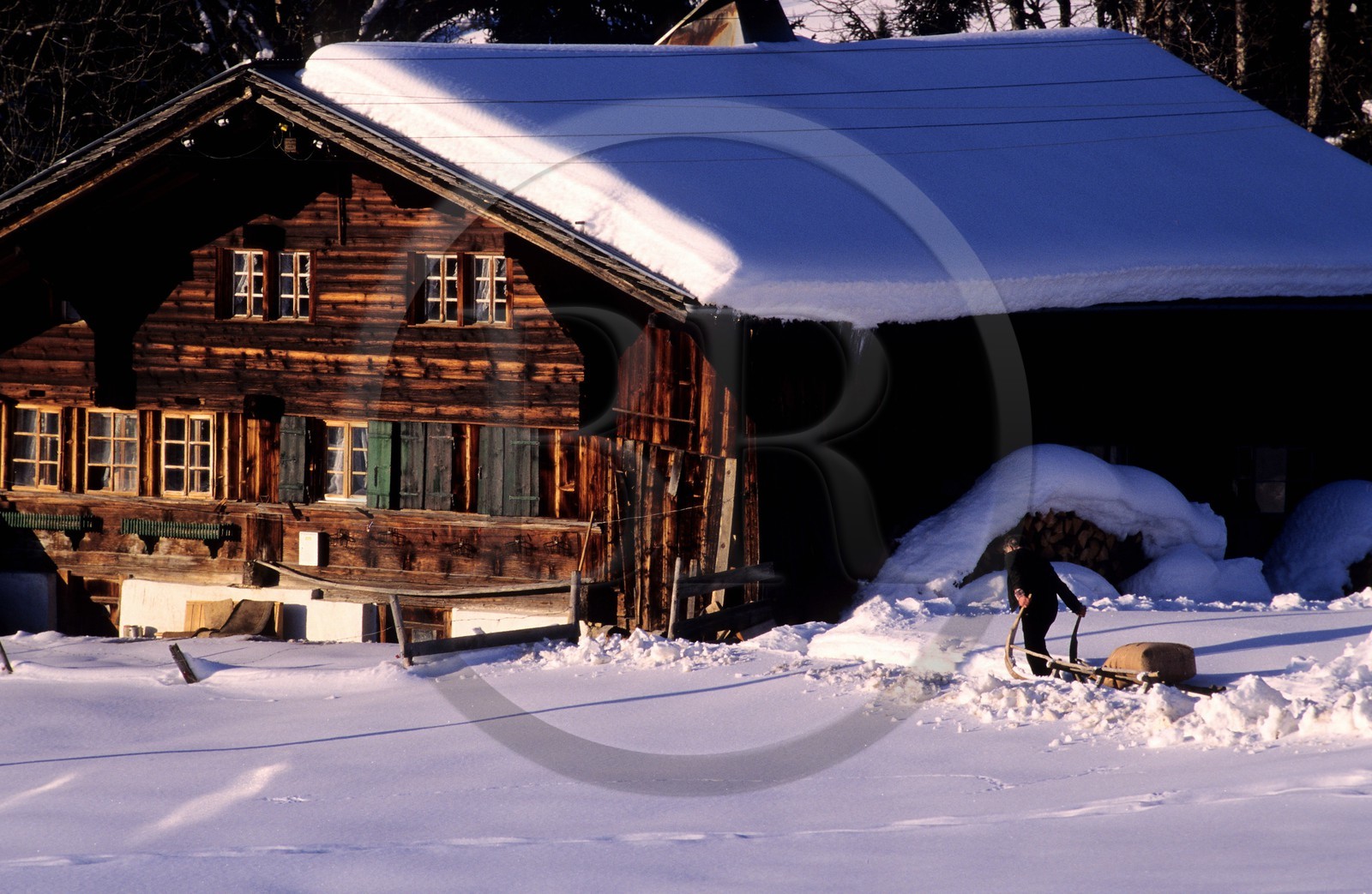 Suisse, région de Bern (Oberland Bernois), ferme traditionnelle du village de Gstaad