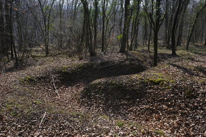 France, Meuse (55), région de Verdun, traces des tranchées autours du Fort de Souville, boyau de communication