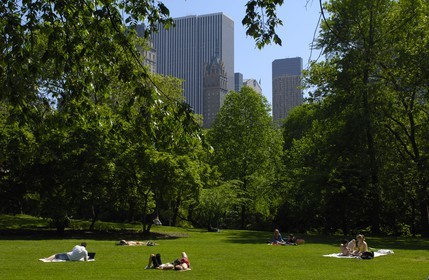 Etats-Unis, New York, Central park, farniente et sport le dimanche sur la pelouse The Sheep Meadow