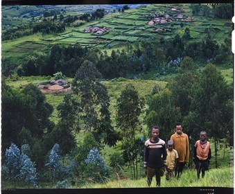 Burundi, Bujumbura Province, Ijenda area, group of Tutsi children, habitat is scattered randomly around the hills and that gives the Burundi landscapes a unique appearance, there are tea plantations around the rugos (4x5 reversal film reproduction)