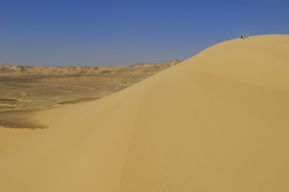 Egypte, Basse-Egypte, désert libyque, les dunes non loin de l'oasis de Bahariya (Bahareyya)