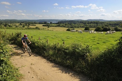 France, Nièvre (58), lac des Settons, découverte à vélo