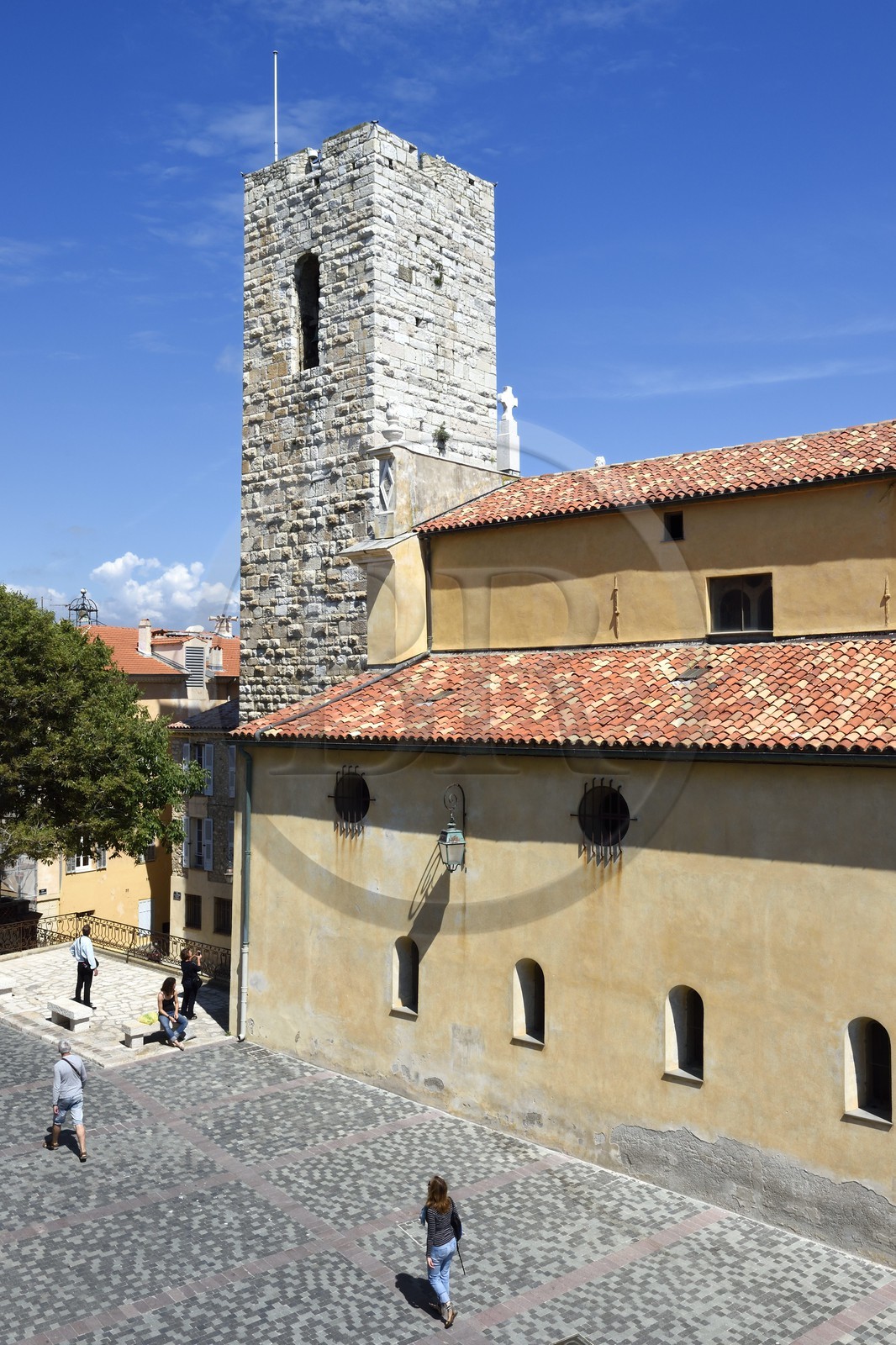 France, Alpes-Maritimes (06), Antibes, cathédrale Notre-Dame-de-la-Platea anciennement de l'Immaculée Conception