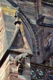 France, Bas-Rhin (67), Strasbourg, vieille ville classée au Patrimoine Mondial de l'UNESCO, la cathédrale Notre-Dame, facade sud, chimères et gargouilles sur un arc-boutant, cheval