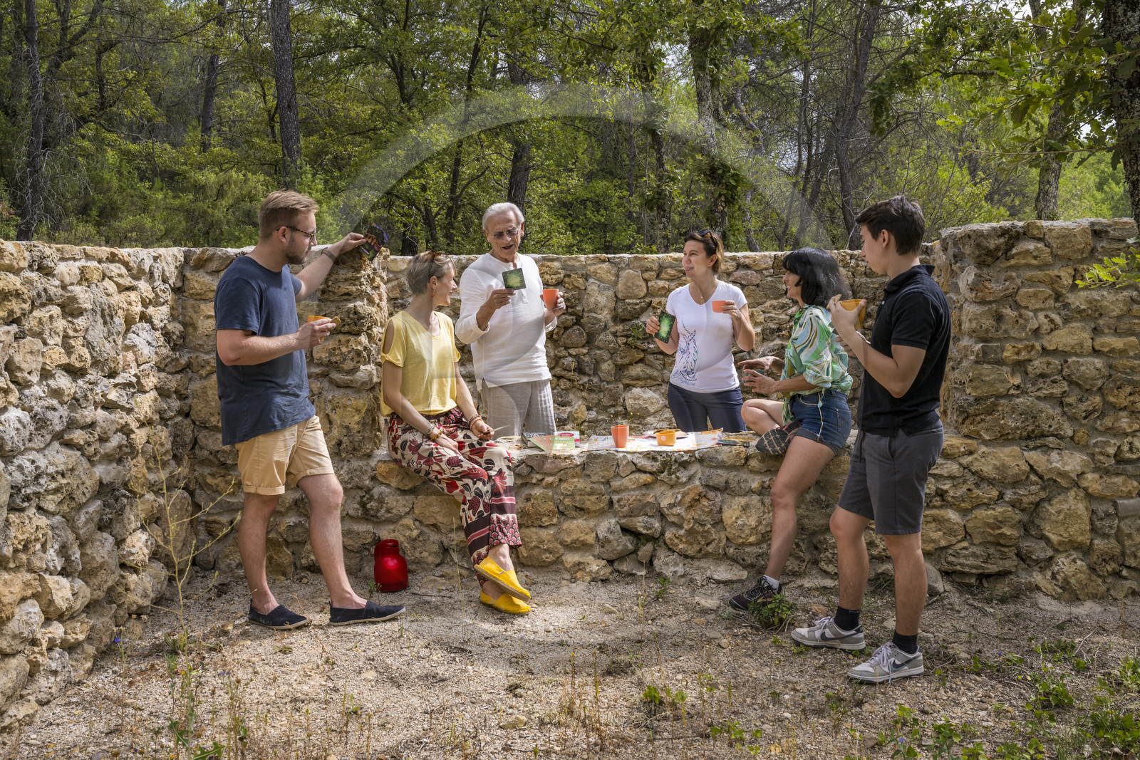 France, Var (83), Provence Verte, Bras, Académie du Bain de Forêt Provençale, forêt du domaine Le Peyrourier - une campagne en Provence, Constanze Coisne guide le Shinrin Yoku