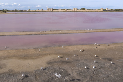 France, Gard (30), Aigues-Mortes, la ville médiévale entourée par ses remparts en bordure des marais salants (Salins du Midi) (vue aérienne)
