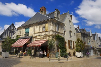 France, Indre et Loire, Loire Valley listed as World Heritage by UNESCO, Langeais, the cafe terrace