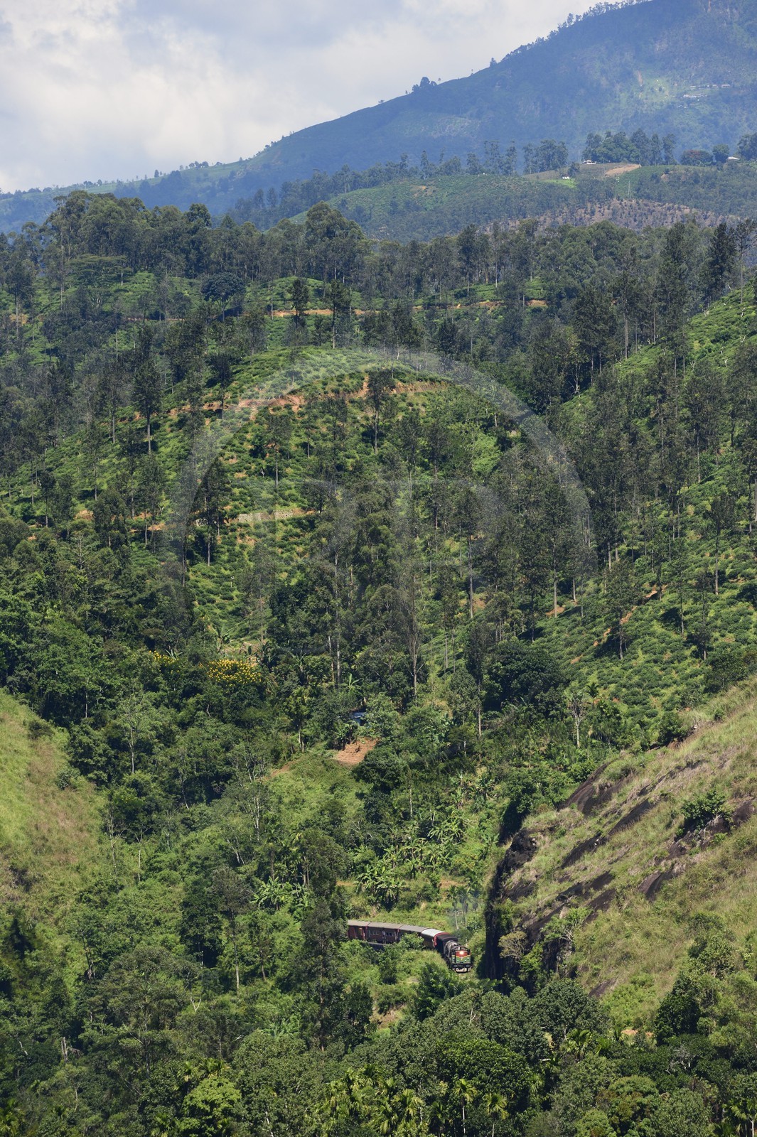 Sri Lanka, Province d'Uva, train sur la voie de chemin de fer dans la région montagneuse de la culture du thé non loin de Ella (Badulla district)
