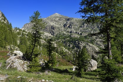 France, Alpes-Maritimes, parc national du Mercantour (Mercantour National Park), vallon de la Minière (Miniere valley) below the Vallee des Merveilles (Valley of Wonders) and Mount Bego (2872m) in the background