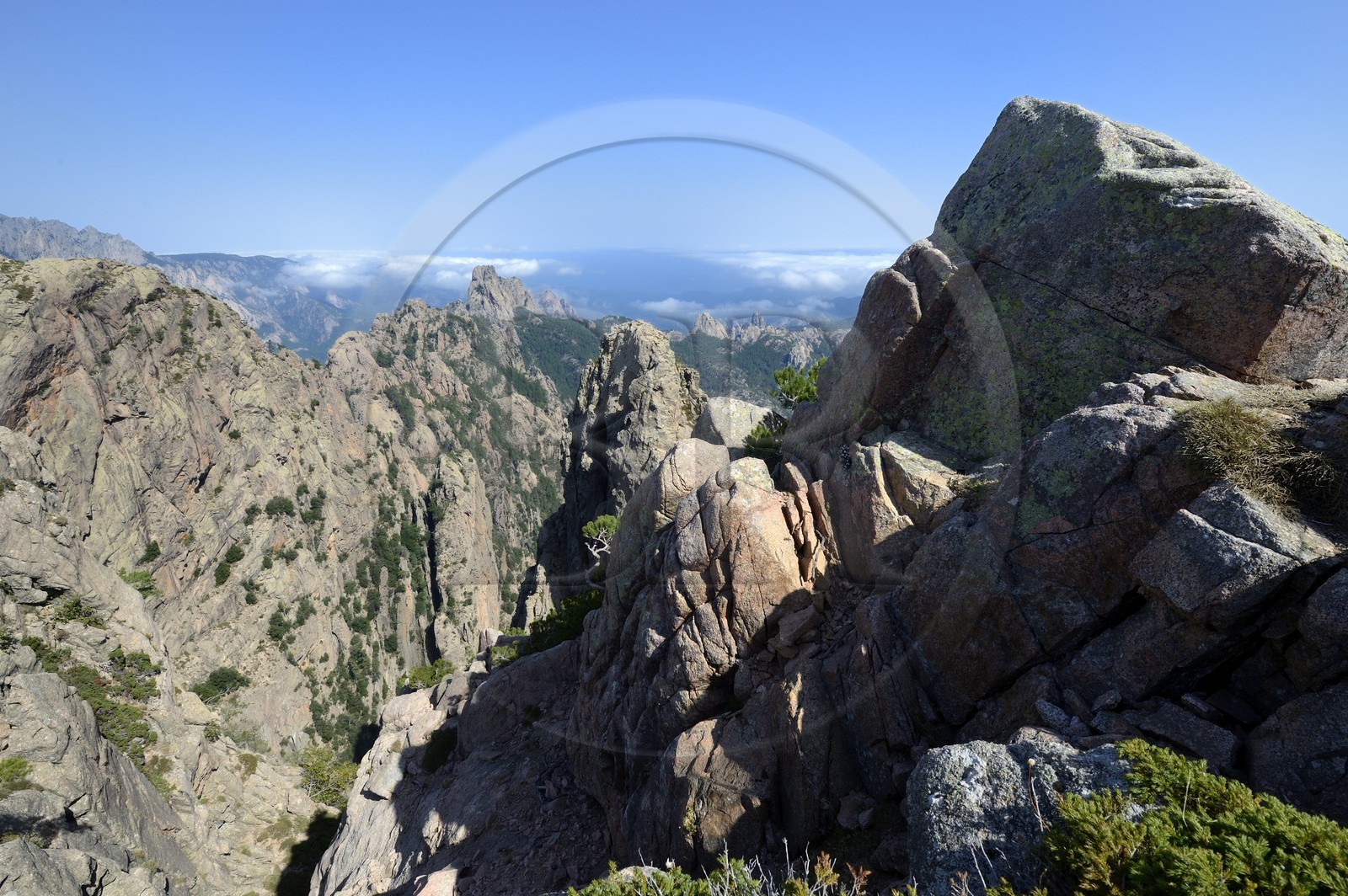 France, Corse-du-Sud (2A), Alta Rocca, massif de Bavella depuis le Punta Velacu