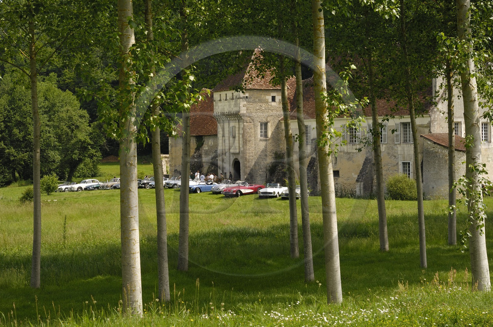 France, Indre-et-Loire (37), Chemillé-sur-Indrois, la Corroirie de la Chartreuse du Liget