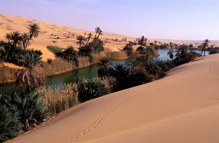 Libya, region of the desert, the Fezzan (Sahara), Erg Ubari, Lake of Oum El Ma