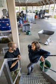 France, Côte-d'Or (21), les climats de Bourgogne classés Patrimoine Mondial de l'UNESCO, Beaune, Cuverie des Hospices de Beaune, la régisseur et vinificatrice des Hospices de Beaune Ludivine Griveau gère le ballet des arrivées de raisins et leur parcours jusque dans les cuves en ce jour de vendanges