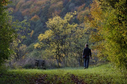France, Meuse, Lorraine Regional Park, Cotes de Meuse, Buxières-sous-les-Côtes, walk in the woods