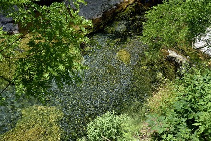 France, Alpes-Maritimes (06), vallée de la Roya, La Brigue, plusieurs petites sources se rejoignent dans la rivière du Vallon de la Madone en dessous du sanctuaire de Notre-Dame des Fontaines