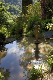 France, Alpes-Maritimes (06), Menton, Jardin Serre de la Madone, bassin