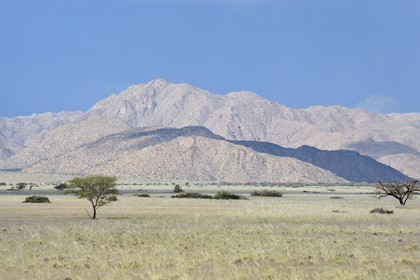 Namibie, région de Hardap, désert du Namib à l'Est du parc national Namib Naukluft
