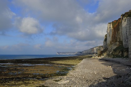 France, Seine-Maritime, Cote d'Albatre, Yport, the beach at the foot of the cliffs