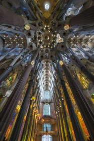 Spain, Catalonia, Barcelona, Eixample district, Sagrada Familia basilica by Catalan modernist architect Antoni Gaudi, listed as a UNESCO World Heritage Site, the facade of Glory seen from the inside and the vault of the Nave at the top