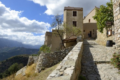 France, Haute Corse, Balagne, perched village of Sant'Antonino, labelled Les Plus Beaux Villages de France (The Most Beautiful Villages of France)