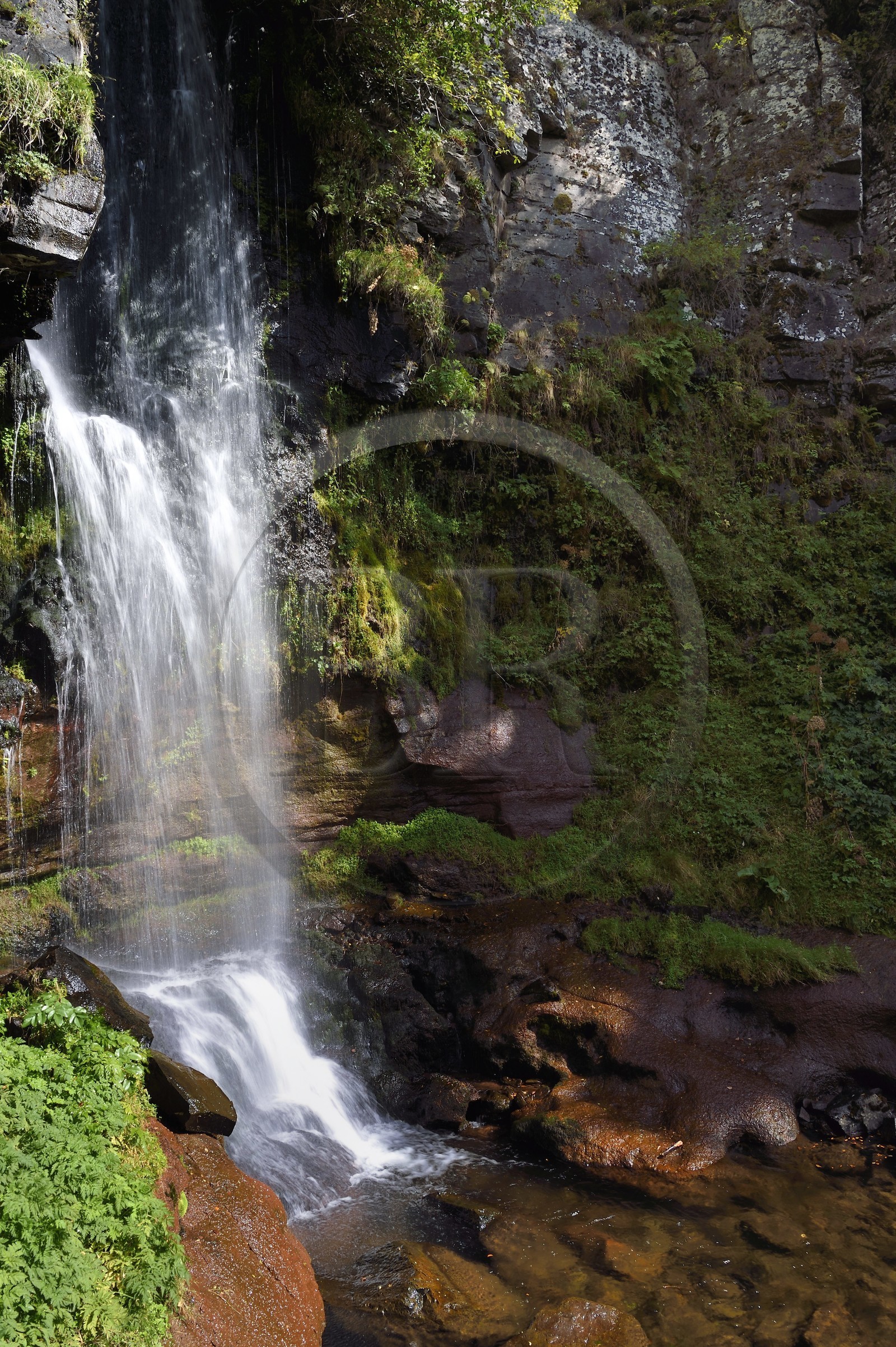 France, Cantal (15), Parc Naturel Régional des Volcans d’Auvergne, vallée de Brezons, hameau de Sanissage, la cascade du Saut de la Truite
