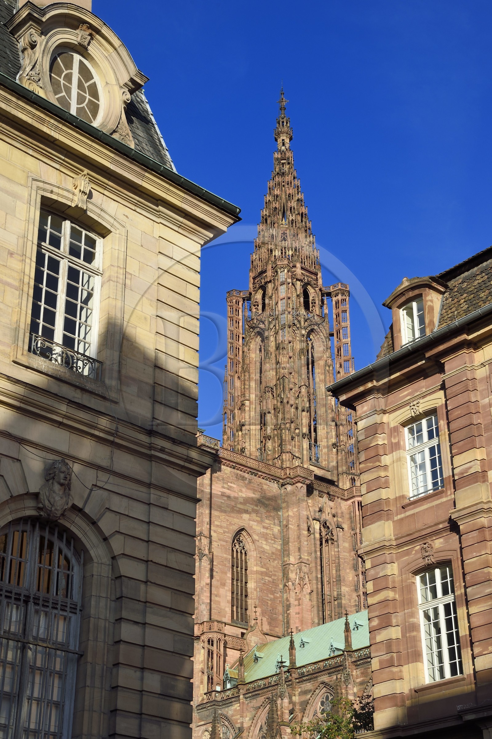 France, Bas-Rhin (67), Strasbourg, vieille ville classée au Patrimoine Mondial de l'UNESCO, la cathédrale Notre-Dame