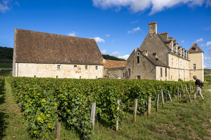 France, Côte-d'Or (21), Paysage culturel des climats de Bourgogne classés Patrimoine Mondial de l'UNESCO, Route des Grands Crus, vignoble de la Côte de Nuits, Vougeot, le Chateau du Clos de Vougeot