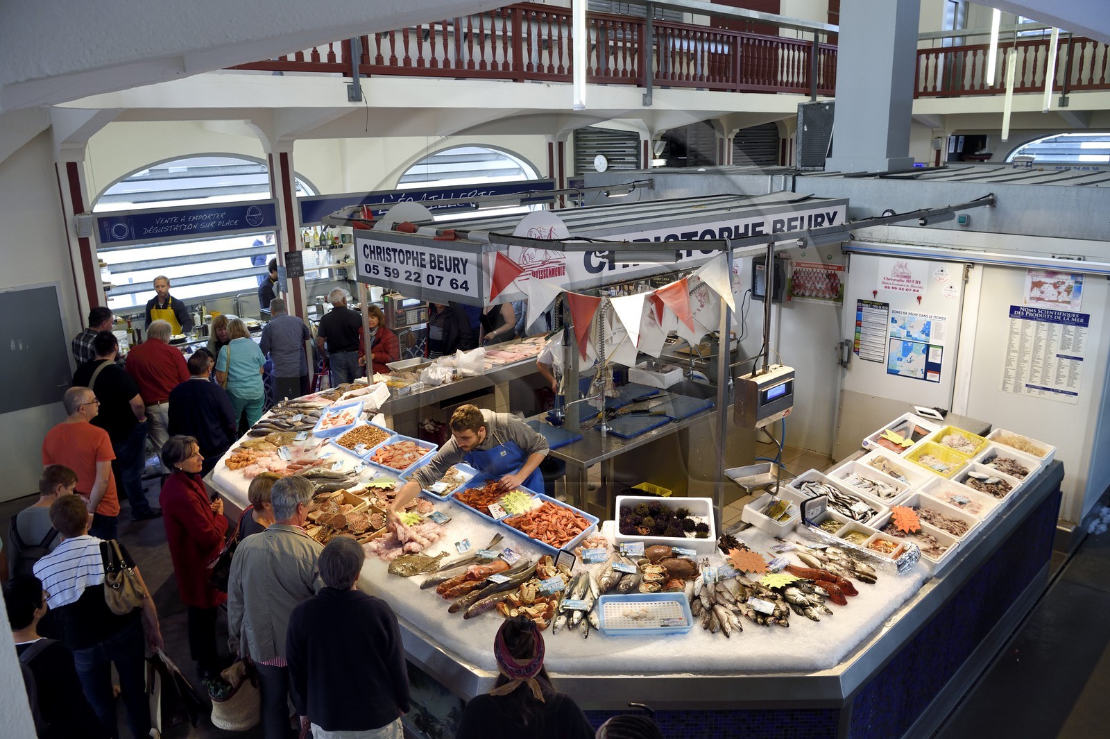 France, Pyrénées-Atlantiques (64), Pays-Basque, Biarritz, le marché couvert des Halles, la halle des poissonniers