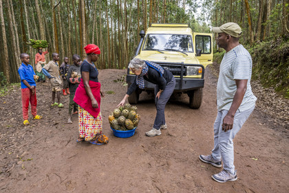 Rwanda, Province de l’Ouest, Gisuma, paysanne partant au marché proposant ses ananas à une touriste sur la piste