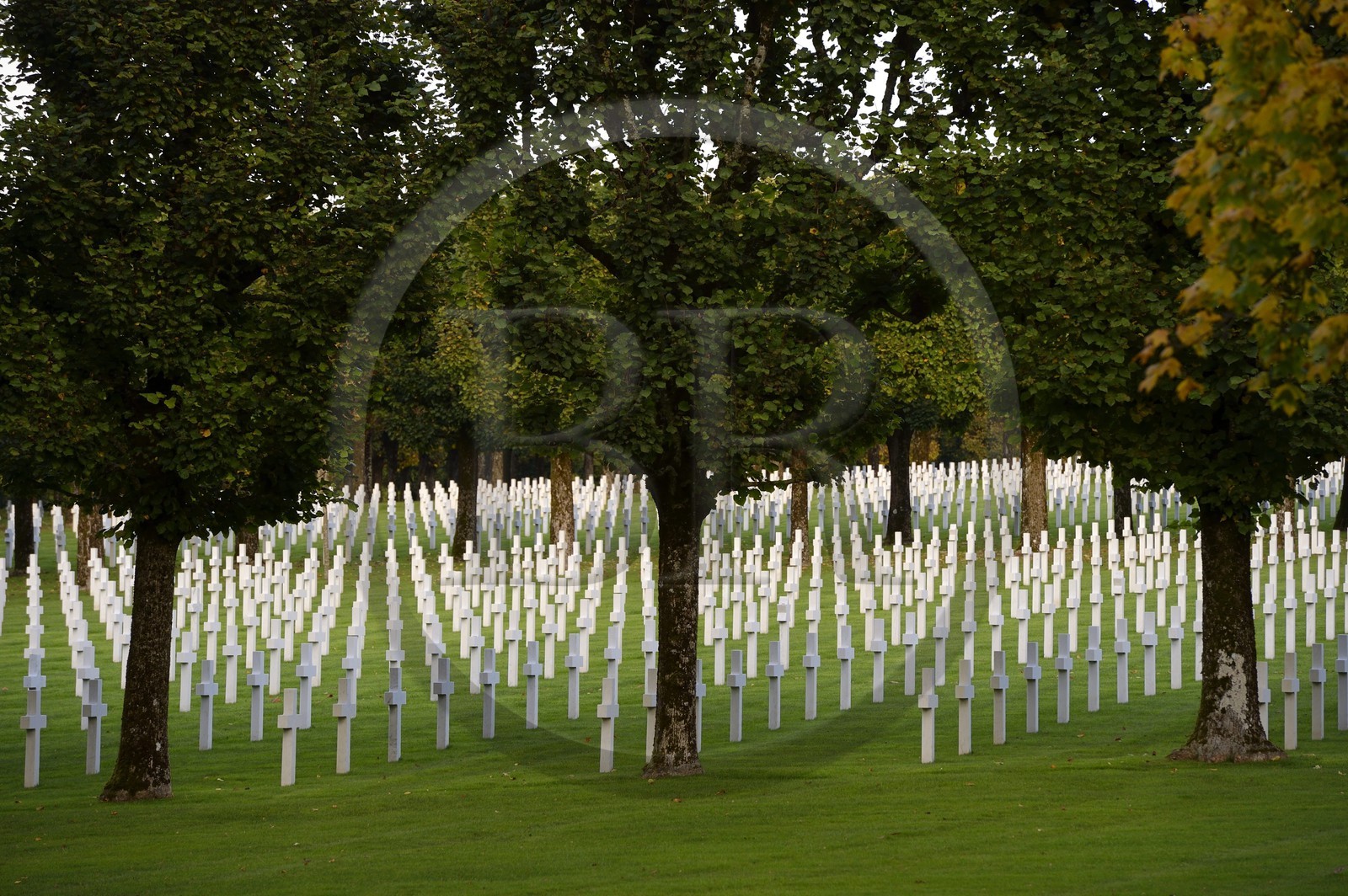 France, Meuse (55), le cimetière américain de Romagne-sous-Montfaucon, 14 246 américains ayant combattu lors de la Première Guerre mondiale y sont enterrés
