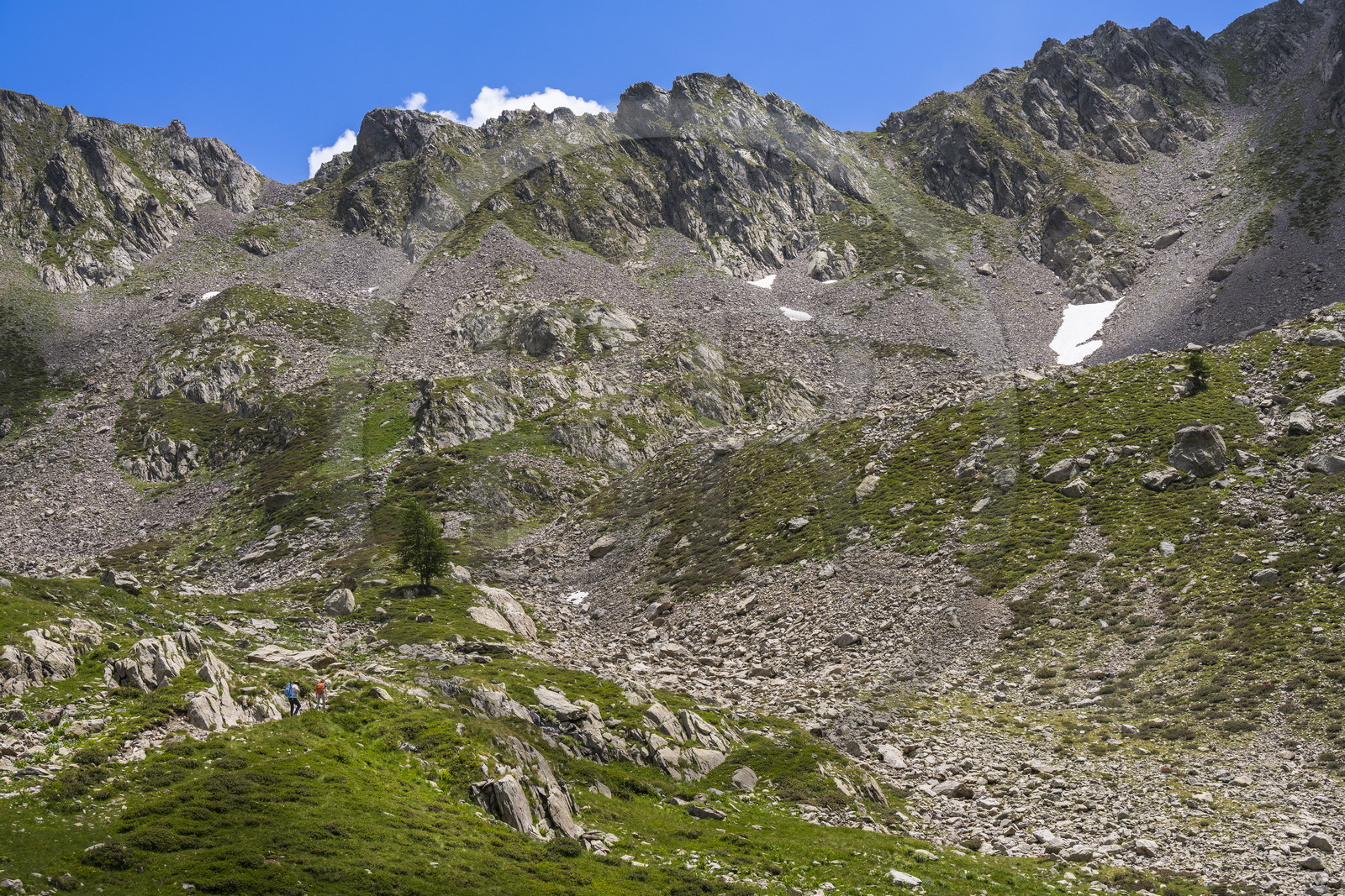 France, Alpes-Maritimes (06), parc national du Mercantour, Haute-Vésubie, Saint-Martin-Vésubie, Val du Haut Boréon, randonneurs sur le sentier allant au col du Pas des Ladres (en arrière plan à gauche au sommet)