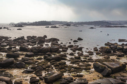France, Côtes-d'Armor (22), Côte de Granit Rose, Trégastel, Ile Renote, la plage à marée basse et Ploumanac'h en arrière plan (vue aérienne)