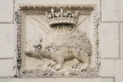 France, Loir-et-Cher (41), vallée de la Loire classée au Patrimoine Mondial de l'UNESCO, Blois, hôtel particulier Sardini rue du Puits-châtel, seul Porc-épic de Louis XII original