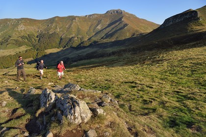 France, Cantal, Parc Naturel Régional des Volcans d'Auvergne (regional nature park of Auvergne volcanoes),  Le Lioran, col de Rombiere (mountain pass), hikers on the Way of St. James to Santiago de Compostela by Via Arverna, the puy de Peyre Arse in the background